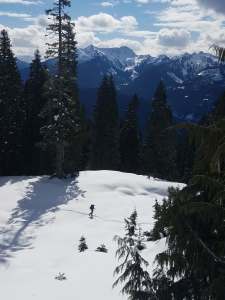 53192422_392534394896205_1977721238809739264_n