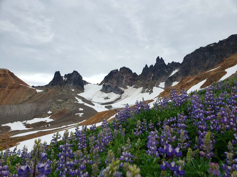 116133760_227550748429819_3904810424483376567_n(1)